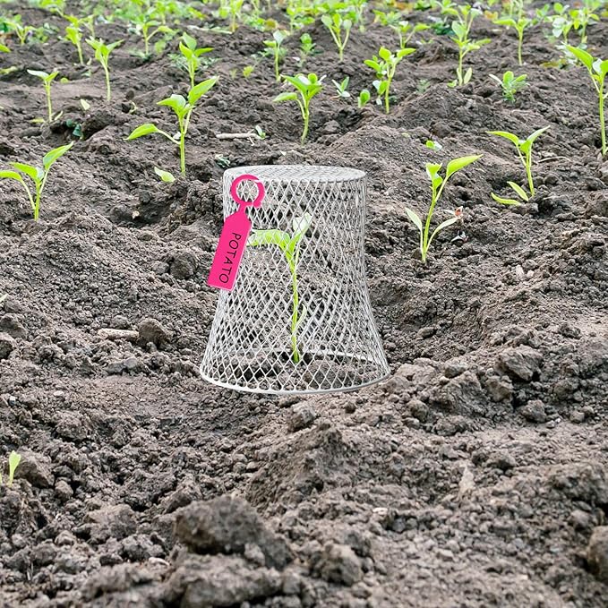 20 Pcs 99inch Chicken Wire Plant Covers Garden Cloches Metal Heavy Duty Plant Protector for Keeping Bunnies Squirrels Birds Other Out