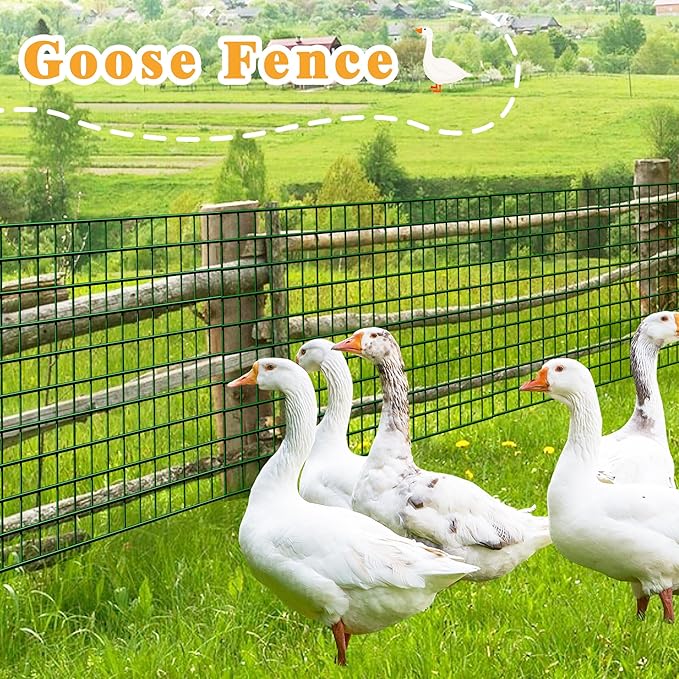 Green Metal Garden Fence, 60inch(H) x 100ft(L), 2 inch x 3 inch,14GA 2/3/4/5/6 Ft Tall Chicken Wire PVC Coated Welded Wire Mesh Roll for Dogs Border Yard Vegetable Plant Protection Poultry Netting