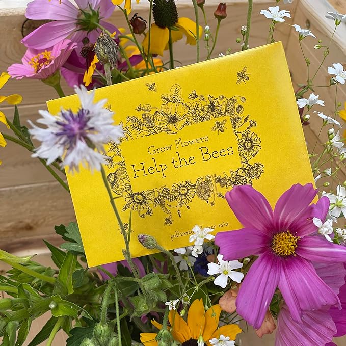 Bentley Wildflower Pollinator Mix, 25 Non-GMO Packets for Garden Planting, Non-Coated Flower Seeds to Grow Plants and Help Bees, Beautiful Gift