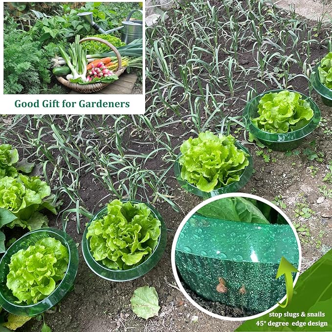 Fshow Slug & Snail Collars,30pcs Snail Garden Cloches,Snail Collar Protects Plants to Get Better.