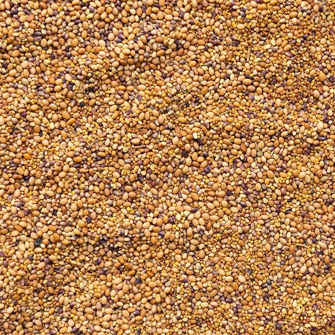 Clover Trio Seed Blend – Premium 1 Lb ~179,200 Seeds – Red, White & Crimson Clover – Cover Crop & Soil Enrichment Mix