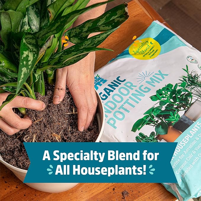 Back to the Roots 100% Organic Indoor Potting Mix (6 Quart), Promotes Healthy Houseplant Growth, Made in The USA