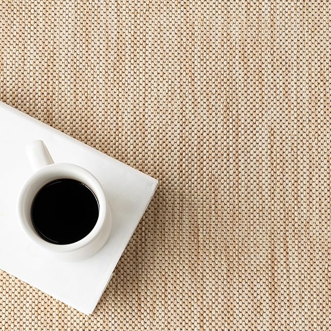 nuLOOM 4x6 Outdoor/Indoor Asha Area Rug, Tan, Casual Design with Striped Border, Stain Resistant, Highly Durable, for Patio, Balcony, Bedroom, Living Room, Dining Room, Bathroom