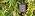 49ft Solar Drip Irrigation System with USB Charging for 15 Potted Plants
